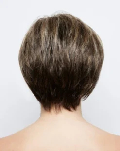 Susanne Wig By Rene Of Paris -Wig Specialty Shop 1016 Susanne Chocolate Frost R bk 768x623 1