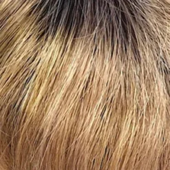 Washington Wig By Dream USA | Mono Top -Wig Specialty Shop 14 26RT