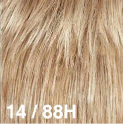 California Wig By Dream USA | Double Mono Top -Wig Specialty Shop 14 88H b9efed48 9829 4cb9 99c1 e1ed9c7c4812