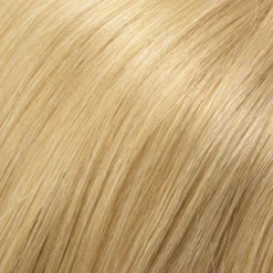 Blake Wig By Jon Renau | Large Cap -Wig Specialty Shop 14 88H 7a0e00ba a6c6 4110 a88c 647ae4e451f9
