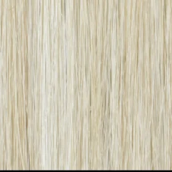 Cheers Wig By TressAllure | Mono Top | Heat-Friendly Synthetic -Wig Specialty Shop 223 23C 3c44af92 dc5e 45bc 8ec1 6f5515893f15