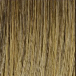 Cheers Wig By TressAllure | Mono Top | Heat-Friendly Synthetic -Wig Specialty Shop 24 18T 4774b178 0977 4a6a adce 057870fc090c