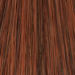 Cheers Wig By TressAllure | Mono Top | Heat-Friendly Synthetic -Wig Specialty Shop 33 30.jpg Dark Auburn Light Auburn Blend 14548589 8990 4282 bbdd 2e932fa01ac9