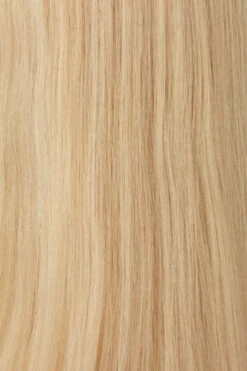 Princessa Wig By Raquel Welch -Wig Specialty Shop BL10 Palest Blonde 2d2612ed 238b 45b8 98c7 a64f329c79d3