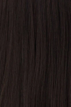 Princessa Wig By Raquel Welch -Wig Specialty Shop BL1 Darkest Brown 5162af94 d30e 4b14 931f 5e181b33c48b