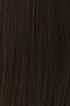 Princessa Wig By Raquel Welch -Wig Specialty Shop BL2 Medium Dark Brown be290f90 e780 4bc4 919f 2043c2c74551