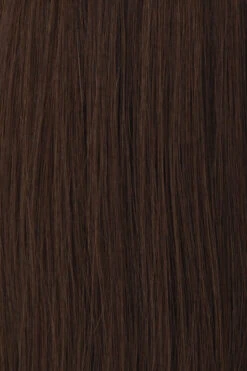 Princessa Wig By Raquel Welch -Wig Specialty Shop BL3 Chestnut Brown aa1232f5 1045 43f4 ad66 f25002fae429