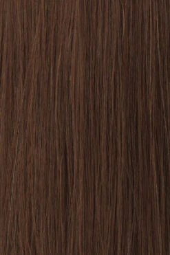 Princessa Wig By Raquel Welch -Wig Specialty Shop BL4 Medium Brown Red ea55b830 be2e 4052 9268 9f03e48b053c