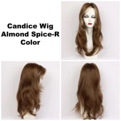 Candice Wig By Godiva's Secret Wigs -Wig Specialty Shop Candice Alm Spice R 360 12546.1444941473.500.659