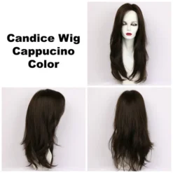 Candice Wig By Godiva's Secret Wigs -Wig Specialty Shop Candice Cappucino 360 91345.1444674311.500.659