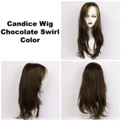Candice Wig By Godiva's Secret Wigs -Wig Specialty Shop Candice Choc Swirl 360 43126.1444674345.500.659