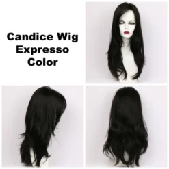 Candice Wig By Godiva's Secret Wigs -Wig Specialty Shop Candice Expresso 360 69778.1444674308.500.659