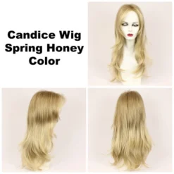 Candice Wig By Godiva's Secret Wigs -Wig Specialty Shop Candice spring honey 20620.1461948957.500.659