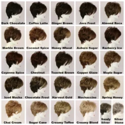 Cristi Wig By Godiva's Secret Wigs -Wig Specialty Shop Cristi Colors 75702.1496420964.1280.1280