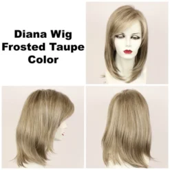 Diana LF Wig By Godiva's Secret Wigs 28 Diana LF Wig By Godiva's Secret Wigs -Wig Specialty Shop Diana Frosted Taupe 36526.1461952550.500.659
