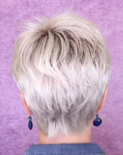 Cool Wig By Ellen Wille | Mono Crown -Wig Specialty Shop Facetune 10 06 2019 14 10 12