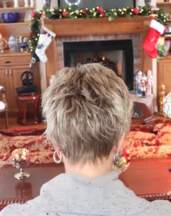 Sparkle Wig By Raquel Welch -Wig Specialty Shop Facetune 14 12 2019 16 38 45