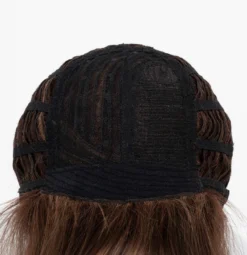 Gia Wig By Envy 34 Gia Wig By Envy -Wig Specialty Shop GiaFront CinnamonRaisin