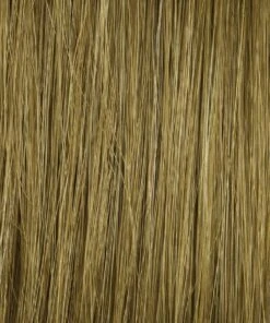 Bravo Wig By Raquel Welch -Wig Specialty Shop HD Human Hair R6HH Medium Auburn 907a5d16 6643 4ae8 99a2 aad7d2e42927