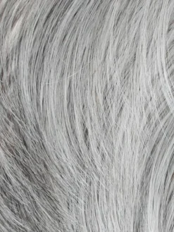 Dapper Men's Wig By HIM | Mono Crown -Wig Specialty Shop HIM ColorSwatches M56590 Grey AshBrown