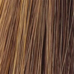 Bliss Wig By TressAllure | Synthetic -Wig Specialty Shop Honey Bean big f9210cc5 1324 4f15 9032 faee02596db3