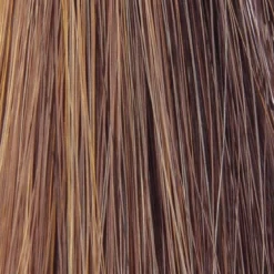 Charlotte Wig By TressAllure -Wig Specialty Shop Honey Bean a1ff54c7 e15e 433a ab99 d5da6ce11aa2