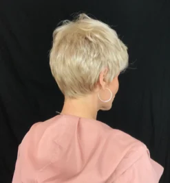 Raven Wig By Envy 27 Raven Wig By Envy -Wig Specialty Shop IMG 4663