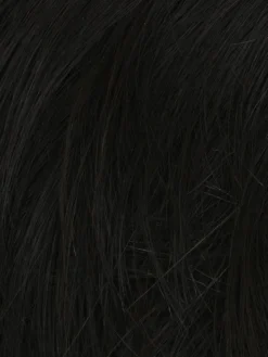 Style Men's Wig By HIM -Wig Specialty Shop M3S Darkest Brown 23100237 b2dd 43b5 a7bf b6c71083ee79