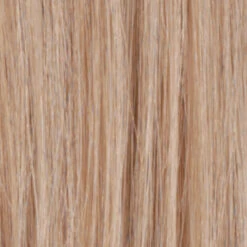 Angelina Wig By Estetica | Remy Human Hair -Wig Specialty Shop R140 14 932ada1f f50a 4267 bcf2 0ff063282c12