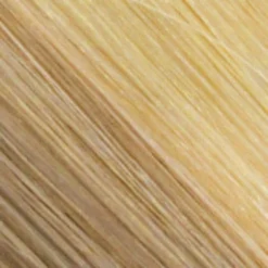 Sandra Wig By Estetica -Wig Specialty Shop R16 22