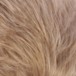 Emma Wig By Estetica -Wig Specialty Shop R24 18BT C 387c652d 2109 4224 921e 1fcd7f1b5e0c