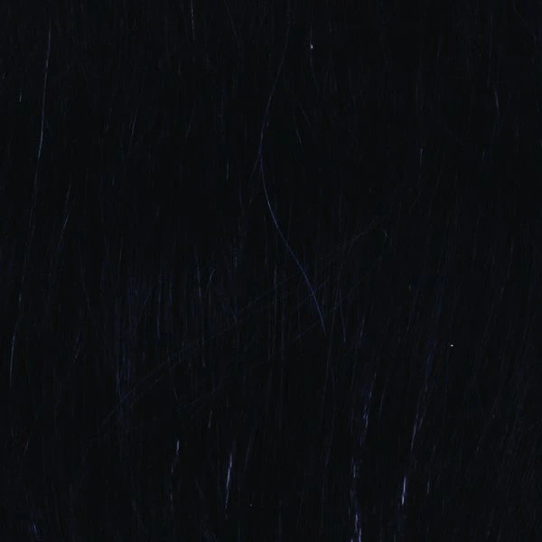 Salsa Wig By Raquel Welch 6 Salsa Wig By Raquel Welch - Image 6