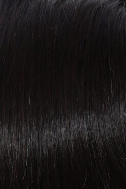 Grand Entrance Wig By Raquel Welch -Wig Specialty Shop R3HH Dark Brown 78dc6494 7d14 4da3 ae2f c9f53e9187f5