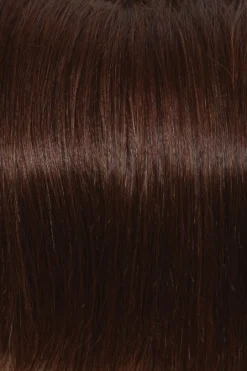 Soft Focus Wig By Raquel Welch -Wig Specialty Shop R4HH Chestnut Brown cc6219c8 91ae 4ecf b415 f2f208d7a4bc