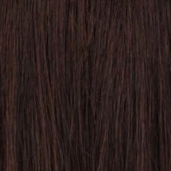 Eva Wig By Estetica | Remy Human Hair -Wig Specialty Shop R4 DARK BROWN