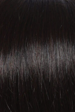 Glamour And More Wig By Raquel Welch | Double Mono Top -Wig Specialty Shop R4 Midnight Brown 7fc8e901 cbc5 4f4d a44e 8b84fccaf65a