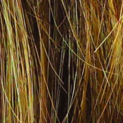 Salsa Wig By Raquel Welch 32 Salsa Wig By Raquel Welch -Wig Specialty Shop R9F26 MOCHA FOIL f7f90d4d d244 4d3d 9180 eef2e20f97a4