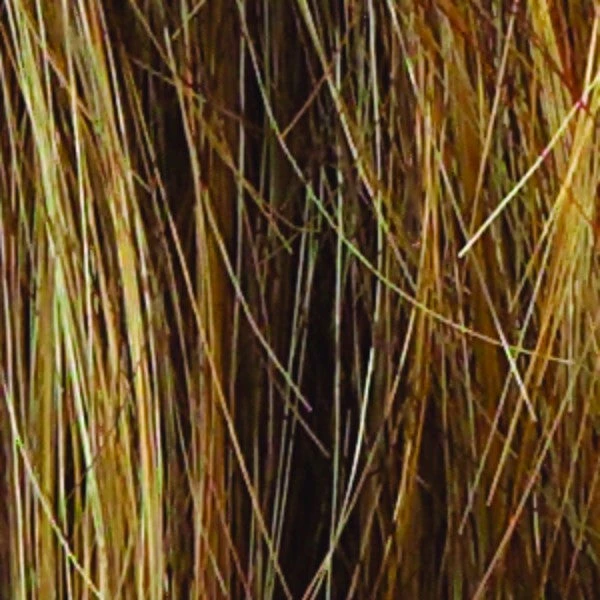 Salsa Wig By Raquel Welch 13 Salsa Wig By Raquel Welch - Image 13