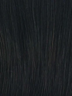 Straight Up With A Twist Wig By Raquel Welch -Wig Specialty Shop RL2 4 OFF BLACK 8ec3d892 1a24 4f69 9625 28e579163914