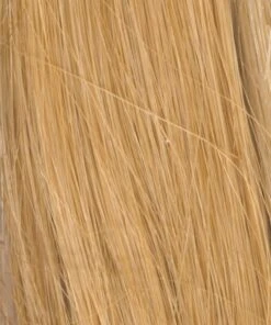 Bravo Wig By Raquel Welch -Wig Specialty Shop RW Black Label Human Hair Color Levels R7HH Strawberry Blonde