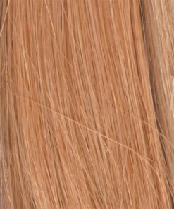 Bravo Wig By Raquel Welch -Wig Specialty Shop RW Black Label Human Hair Color Levels R8HH Golden Blonde