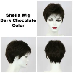 Sheila Petite Wig By Godiva's Secret Wigs -Wig Specialty Shop Sheila Dk choc 70175.1458852612.1280.1280
