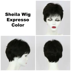 Sheila Wig By Godiva's Secret Wigs -Wig Specialty Shop Sheila Expresso 46658.1458852394.1280.1280
