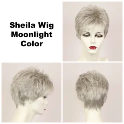 Sheila Petite Wig By Godiva's Secret Wigs -Wig Specialty Shop Sheila Moonlight 40395.1461181945.1280.1280
