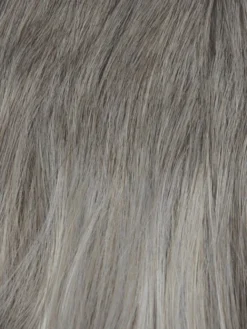 Liana Wig By Rene Of Paris -Wig Specialty Shop Silver Frost 77e9a32d 703f 455d aeb3 2e41d3a049b9