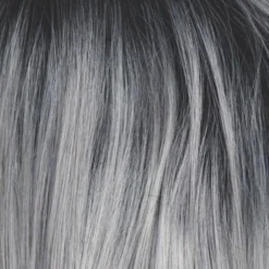 Posh Wig By Rene Of Paris | Heat Friendly 27 Posh Wig By Rene Of Paris | Heat Friendly -Wig Specialty Shop Silver Mist 5defa891 b672 4224 9801 34a22f20fc22