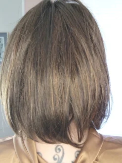 Tempo 100 Deluxe Wig By Ellen Wille | Mono Top -Wig Specialty Shop Tempo100DeluxeChocolateMix3 scaled