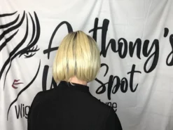 Let's Rendezvous Wig By Raquel Welch -Wig Specialty Shop image00002 0ff8d142 0fe5 4fa2 8689 c1e5cfc850d0