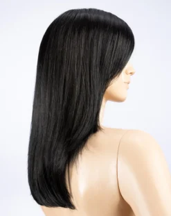 Impress Wig By Ellen Wille | Mono Crown -Wig Specialty Shop impress ebony black bs