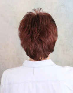 Rica Wig By Ellen Wille | Mono Crown -Wig Specialty Shop ricaback1 scaled